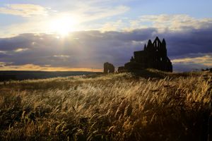 whitby abbey july 2015 2 sm.jpg